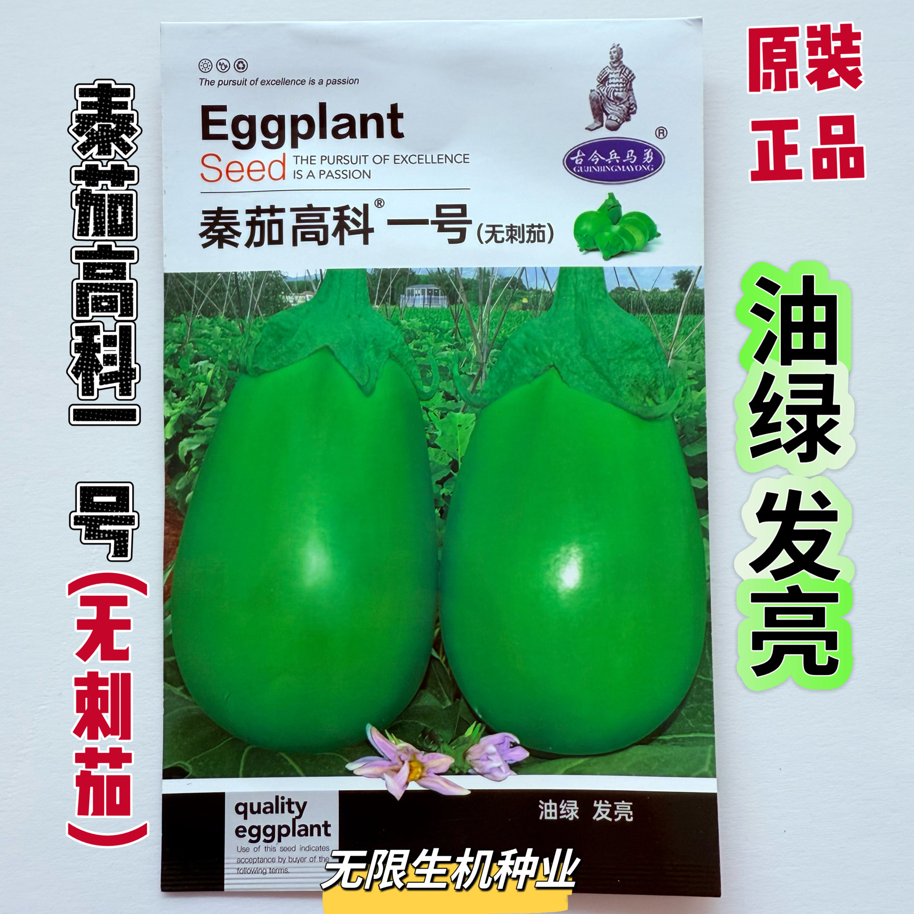 正品秦茄高科一号绿茄种子籽杂交中早熟深绿油亮茄子种农家春季播