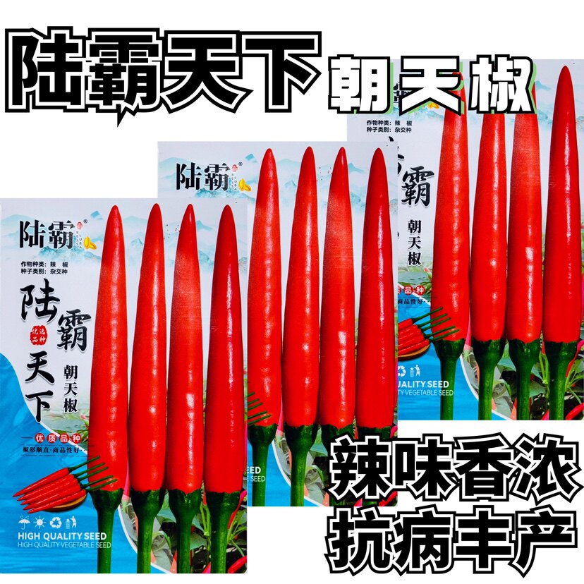 陆霸天下朝天椒种子抗热耐湿辣味香浓抗病丰产大果指天椒种籽正品