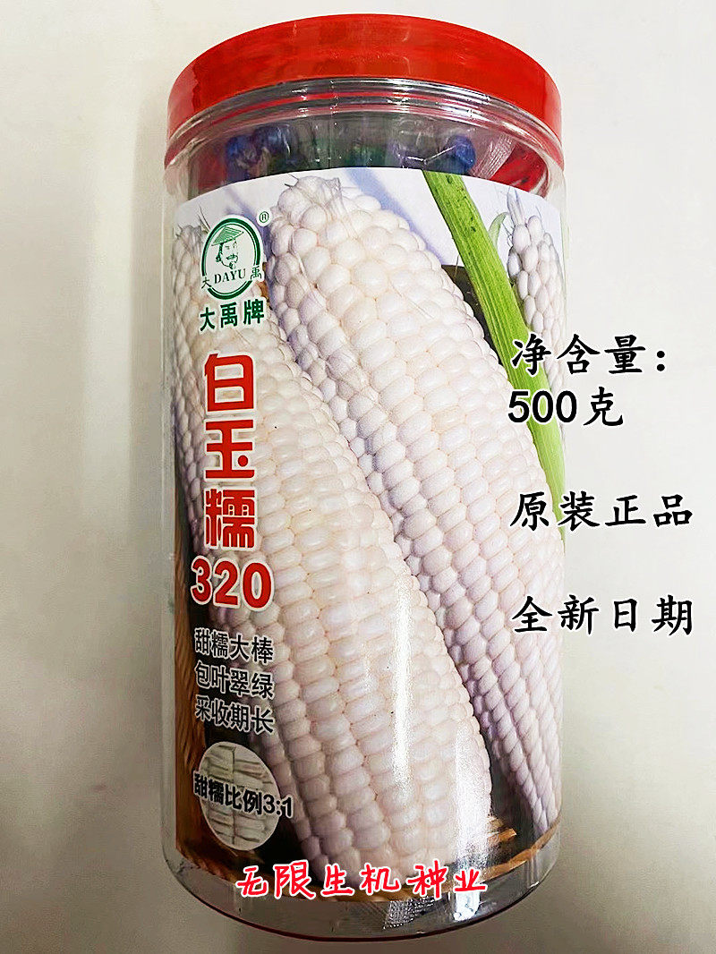 大禹牌白玉糯320玉米种子早熟大棒甜糯白玉米种籽非转基因粘玉米