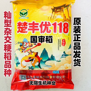 楚丰优118杂交粳稻种子国审一季中稻抗病高产优质三系杂交水稻种