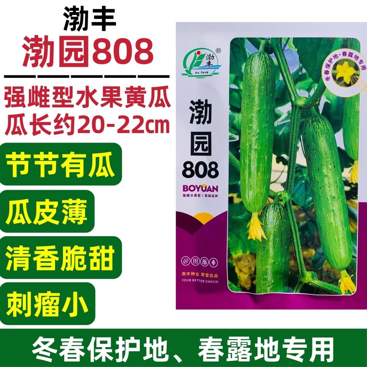 渤园808强雌型水果黄瓜种子皮薄绿肉清香甜脆旱黄瓜种子高产冬春
