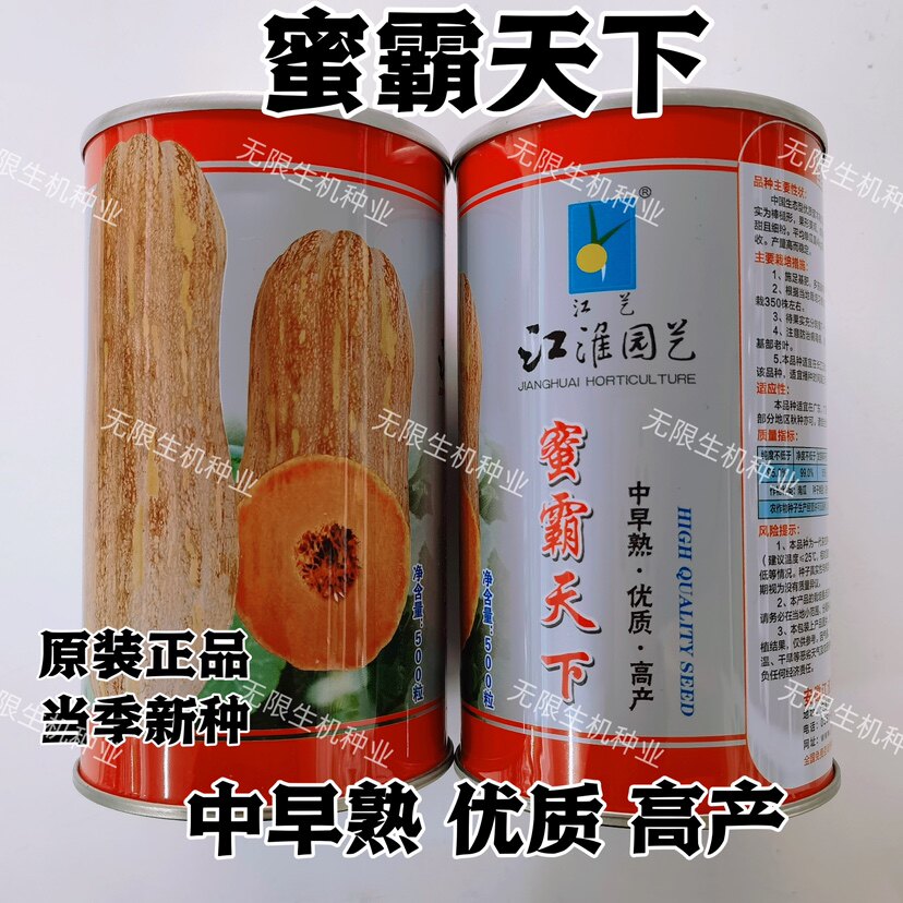 【蜜霸天下】南瓜种子果大早熟高产蜜本秘本南瓜籽春播正品大南瓜