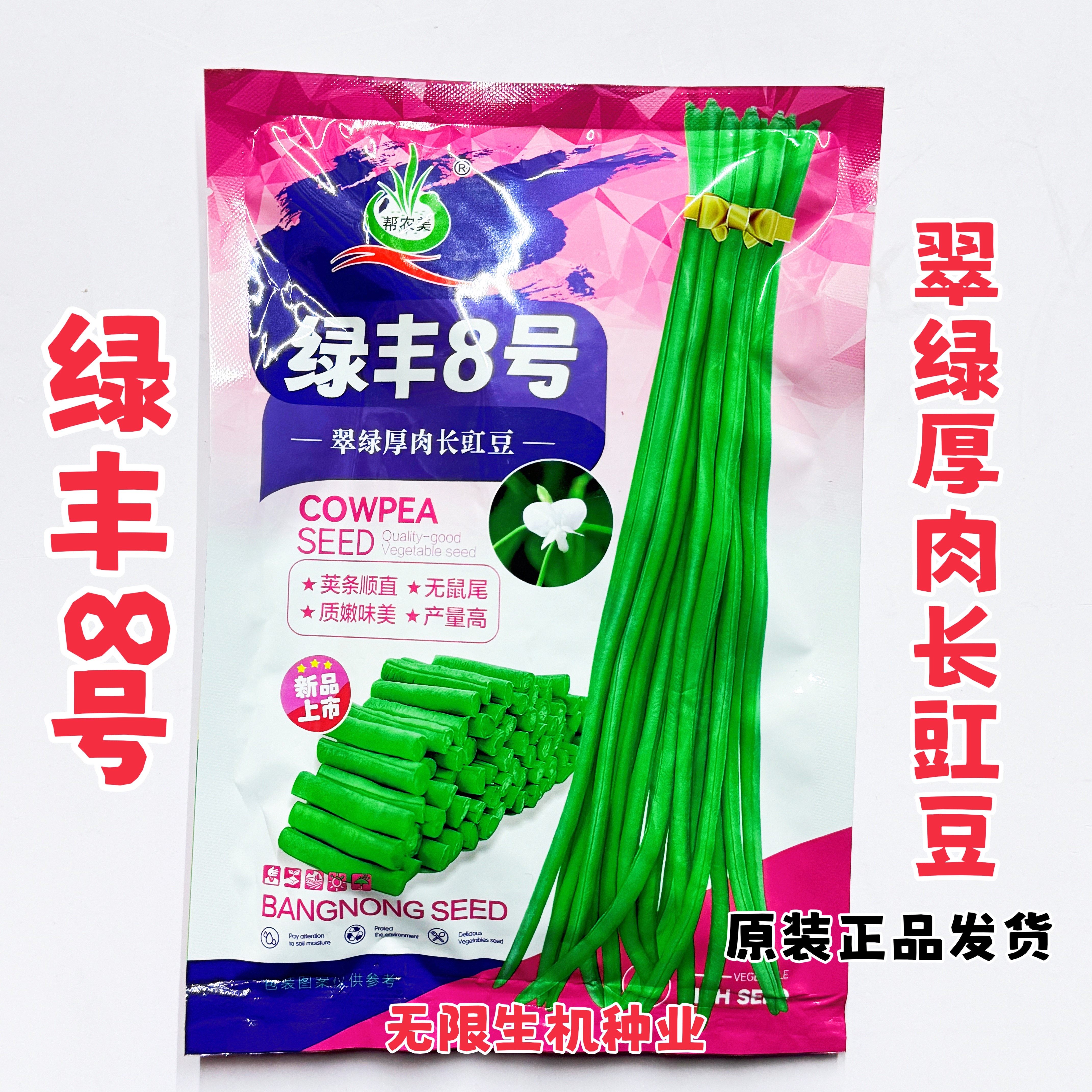 绿丰8号白籽早熟白花翠绿条厚肉长豇豆种子高产抗病白花豇豆种籽