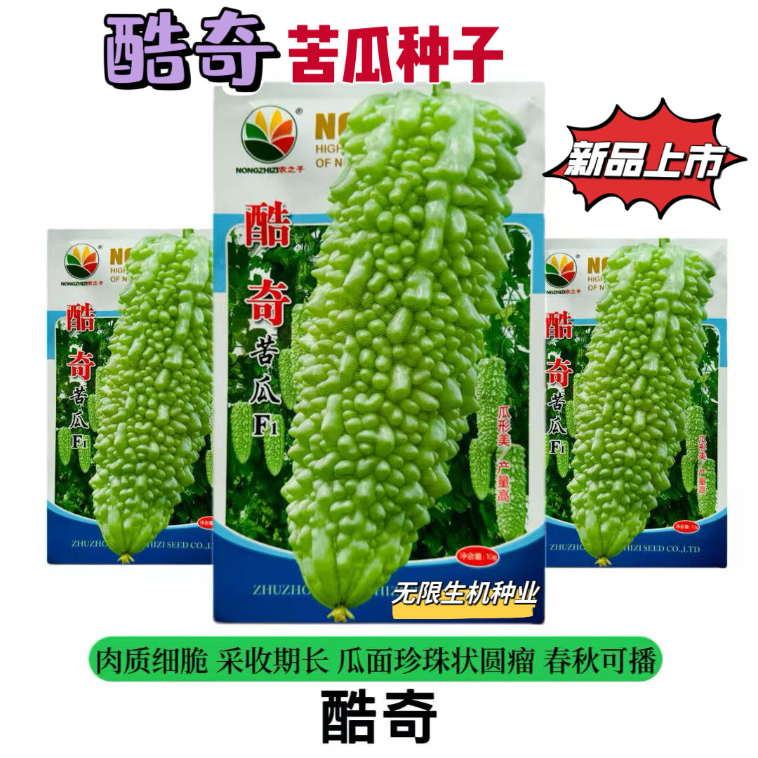 酷奇苦瓜种子珍珠苦瓜种籽高产早熟采收期长农家田园白苦瓜籽种