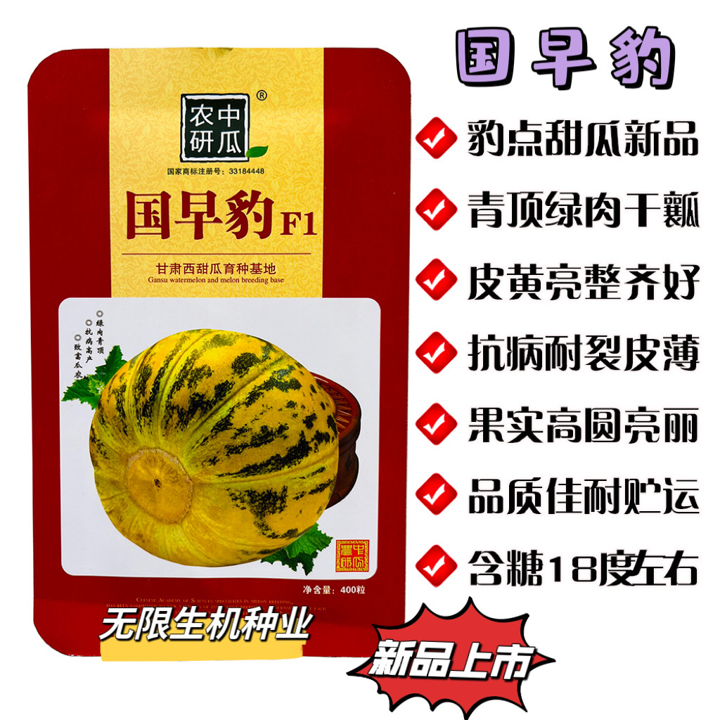 正品 国早豹甜瓜种子早熟花皮含糖量高黄皮豹纹抗病亮丽甜瓜种籽