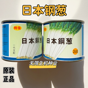 日本钢葱种子铁杆大葱籽大香葱铁杆型耐热章丘春季秋冬季铁杆四季