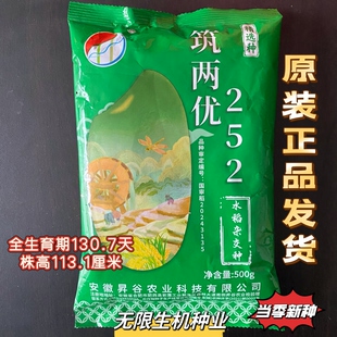 中稻籼型杂交稻 筑两优252水稻种子国审稻种籽高产抗病抗倒伏一季