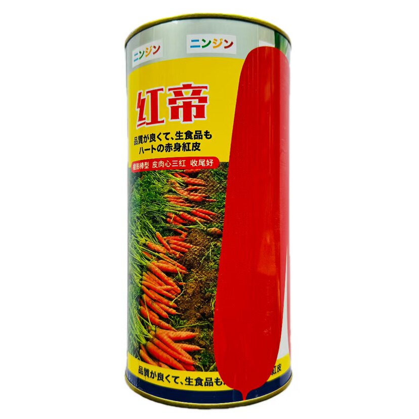 拖车头红帝胡萝卜种籽子秋播抗病耐重茬高产三系杂交进口品种正品