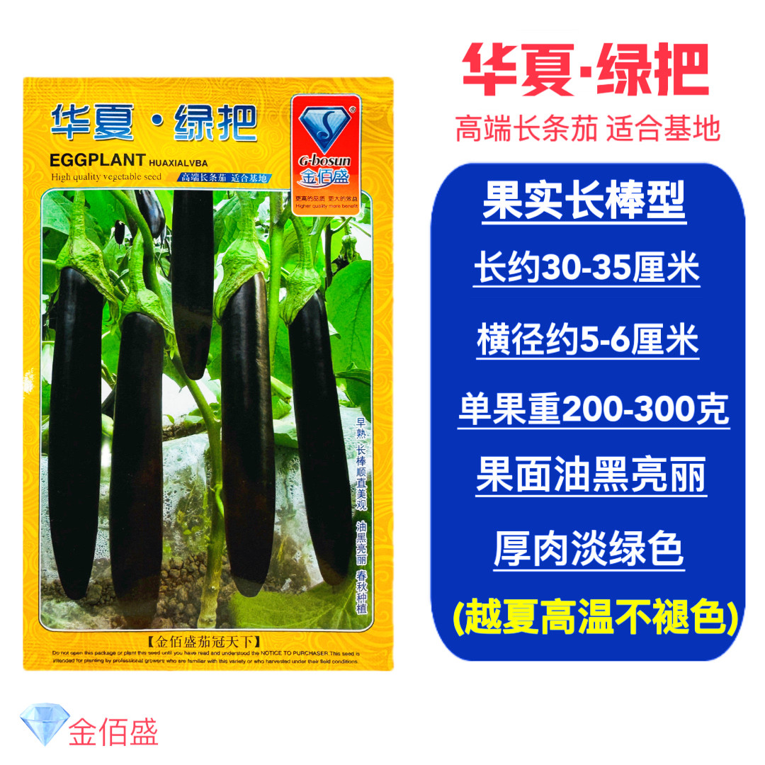 华夏绿把高端长茄子种子早熟抗病高产农家大棚基地春秋黑油亮茄籽