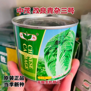 中茂大白菜种子精纯改良青杂三号白菜籽青帮大白菜抗病高产秋季播