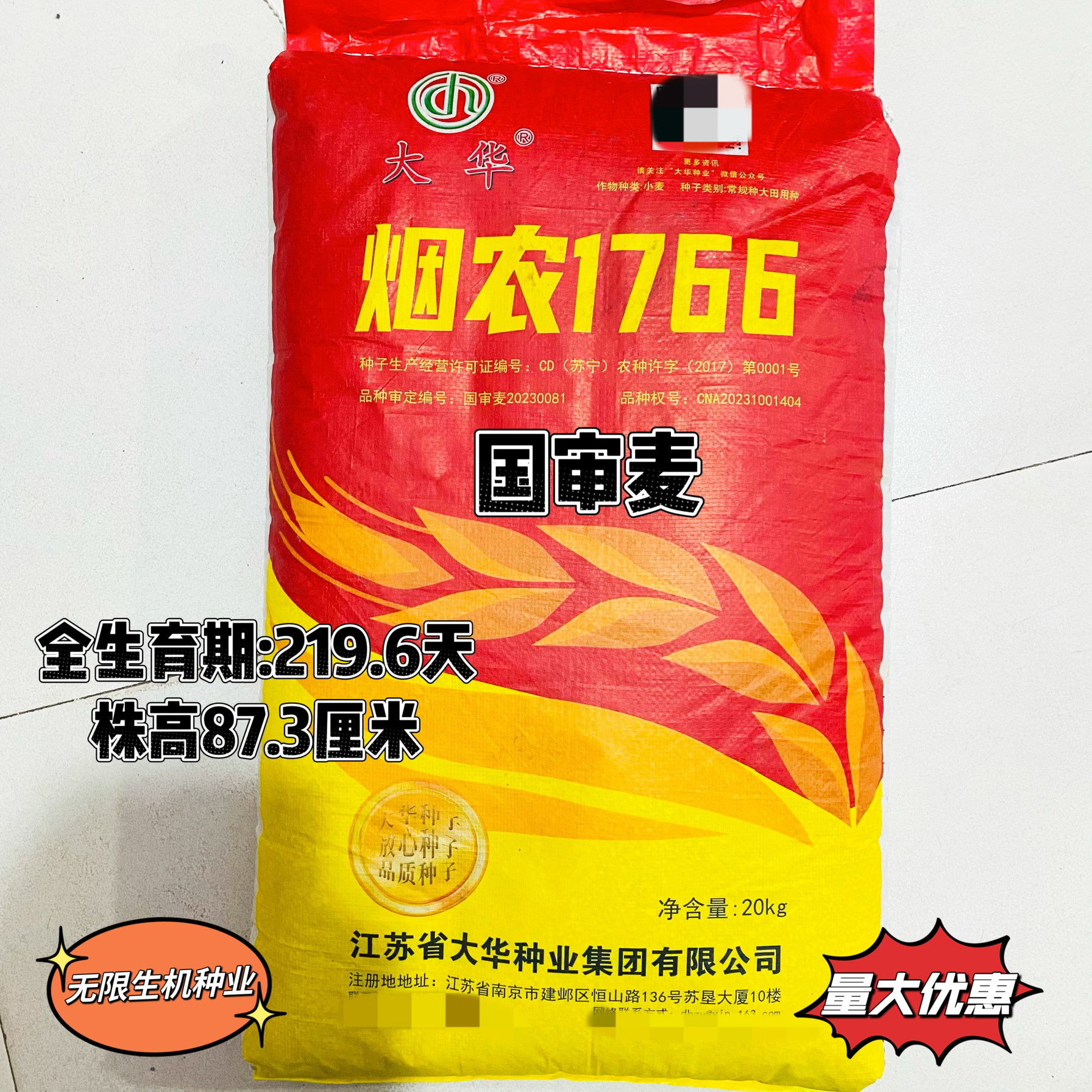 烟农1212小麦种子高产原种抗寒高筋矮杆耐阴雨优质原装大穗冬麦种