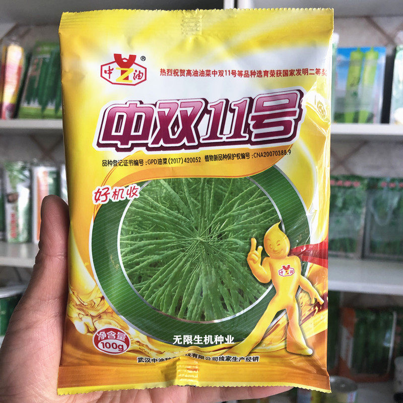 中双11号油菜种子甘蓝型油菜常规种大田用种秋冬季高产榨油原料籽