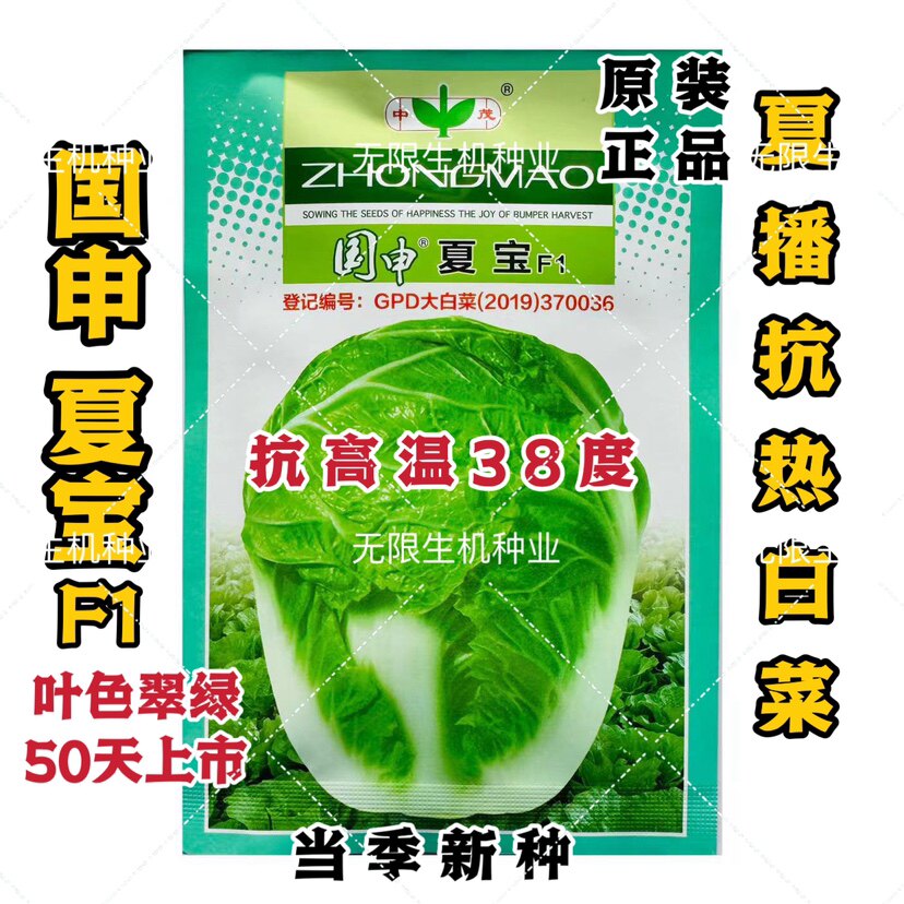 国申夏宝白菜种子 抗热夏季50天早熟大白菜种籽耐高温高产夏秋种