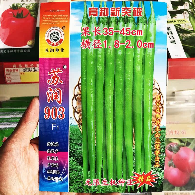 苏润903辣椒种籽线椒种子早熟高产顺直长条椒种子四季播蔬菜种孑