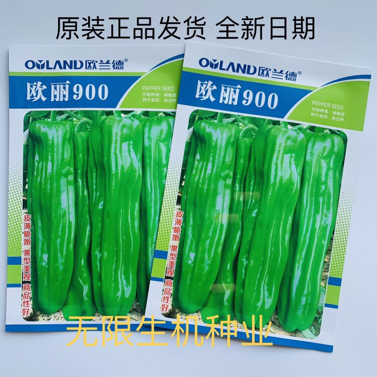 辣椒种子欧兰德欧丽900薄皮辣椒种子 高产优质大果泡椒种籽孑原装