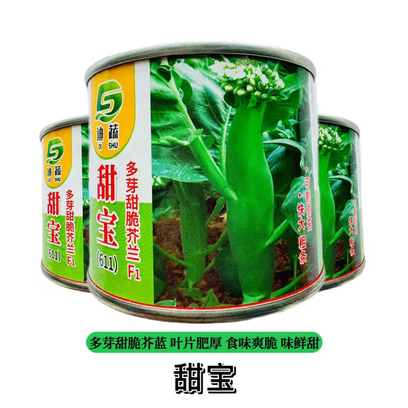 甜宝芥兰种子芥蓝种籽多芽甜脆鸡腿芥兰种籽孑中熟抗病高产四季播