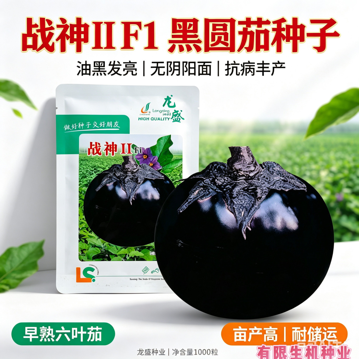 龙盛战神II F1黑圆茄种子 早熟油黑大圆茄子种籽 大田高产抗病