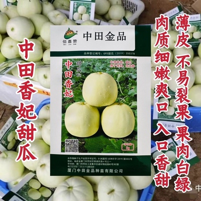 正品中田香妃甜瓜种子薄皮白皮甜瓜种水果香瓜种籽甜度高耐热耐湿