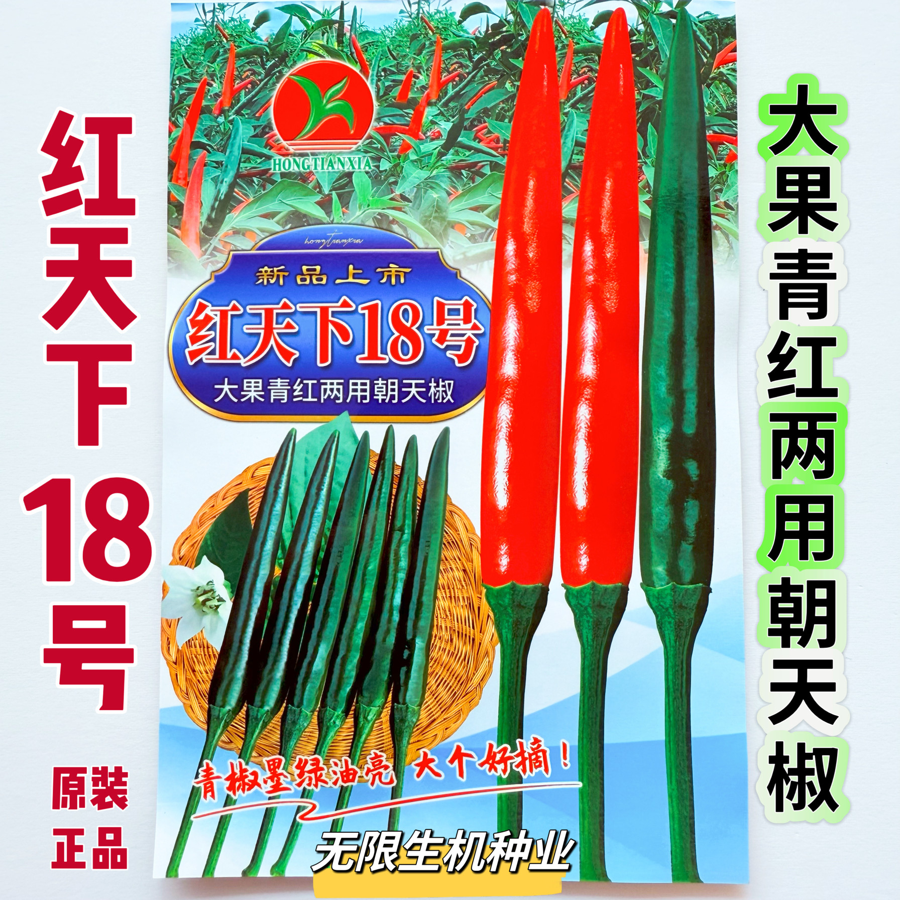红天下18号朝天椒种子大果型朝天椒种籽青红两用硬度好油亮小米辣