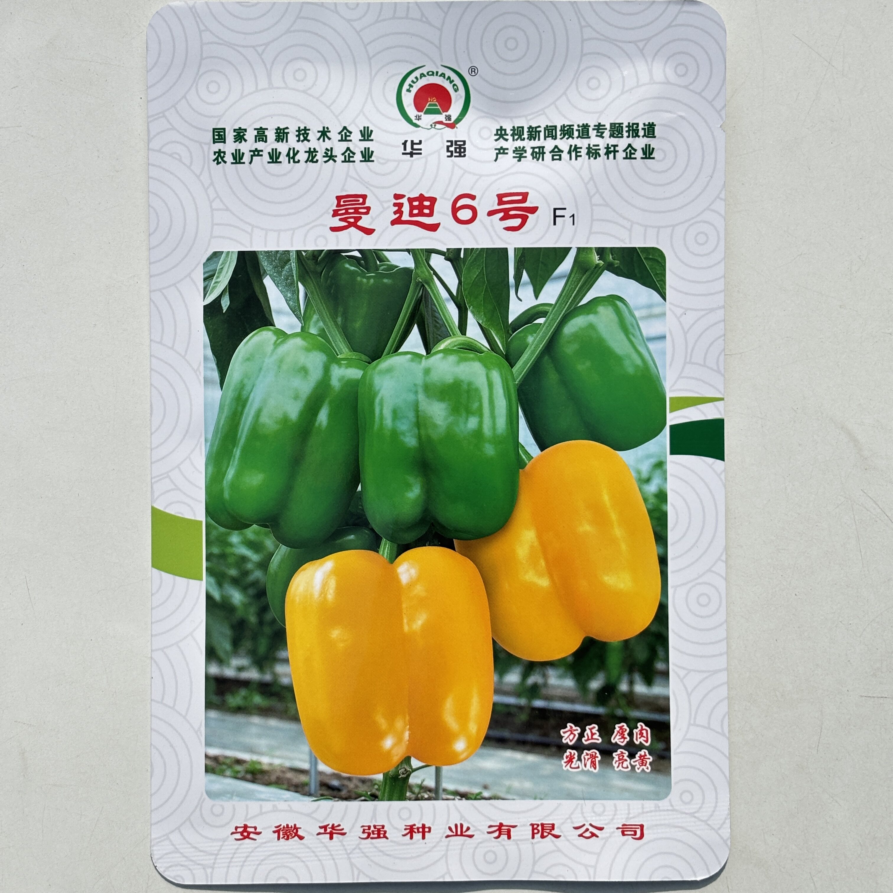 蔓迪6号甜椒种子灯笼椒菜椒早熟高产厚肉圆椒方椒 辣椒种籽蔬菜种