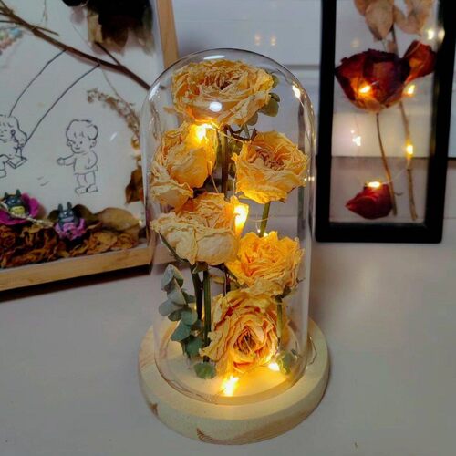 放干花的容器永生花diy发光玻璃罩展示盒手办文玩防尘摆件EVA卡扣