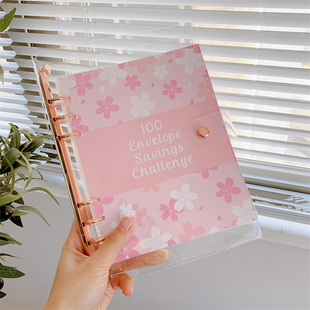 小红书同款存钱本可爱攒钱本子可装钱的活页夹现金零钱收纳袋打卡