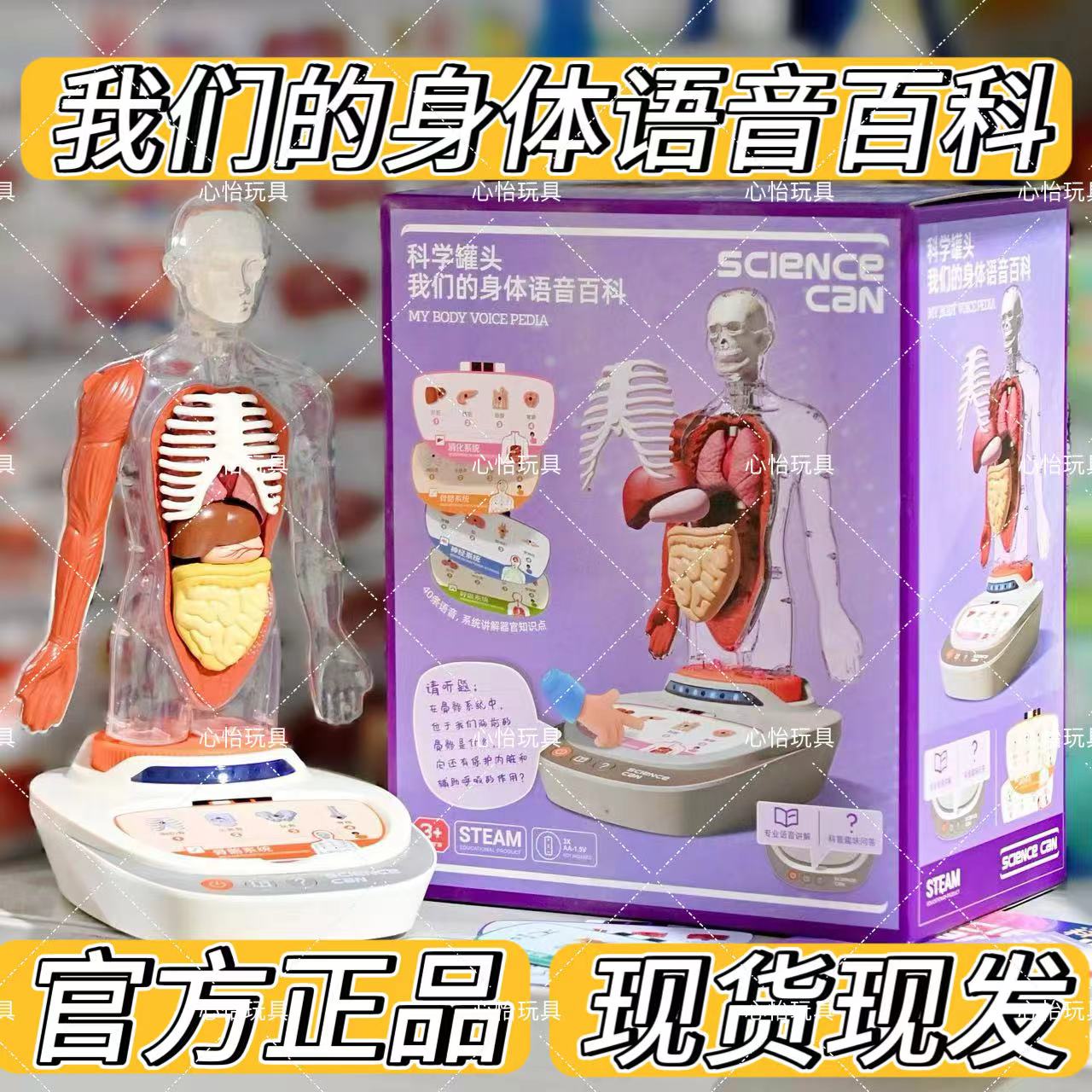 科学罐头人体解剖模型器官可拆卸儿童玩具身体语音百科生日礼物