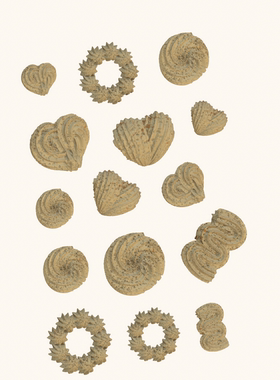 微缩食玩小号裱花曲奇饼干模具食品级硅胶原创粘土软陶6/12分YM