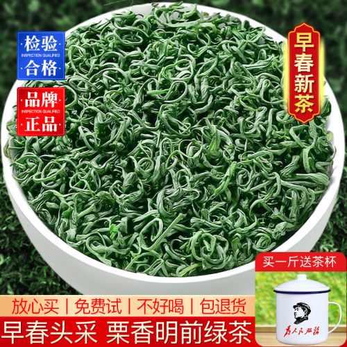 明前绿茶2026新茶春茶浓香型茶叶散装正品高山云雾炒青茶非毛尖茶