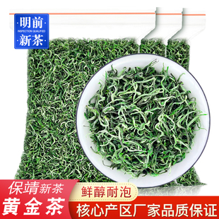 2025新茶湘西保靖黄金茶明前嫩芽浓香型茶叶湖南特产口粮毛尖绿茶