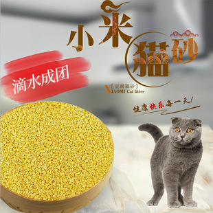 小米无尘猫砂妮可露喵哆啦豆腐猫砂棉花球纸沙吸水