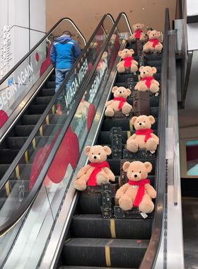 D一分钱手机电脑墙纸1分钱小礼品会员壁纸可爱熊熊壁纸图片