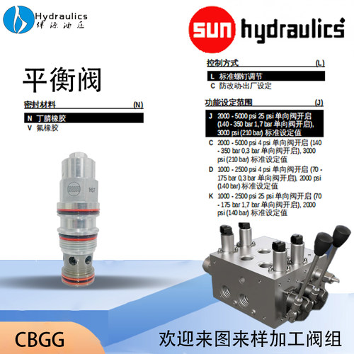 SUN美国太阳阀 SCIA-LAN 顺序阀阀SCIA-LBN插装阀SCIALCN原装正品