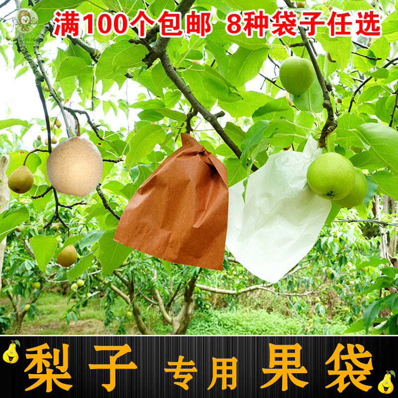 单层梨子果袋专用防虫雨水晚秋图片
