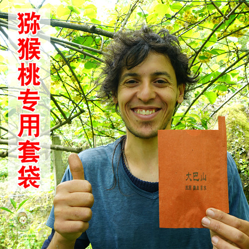 大巴山猕猴桃园红绿心专用套果袋纸袋子大果农元泰绿果林新惠阳牌