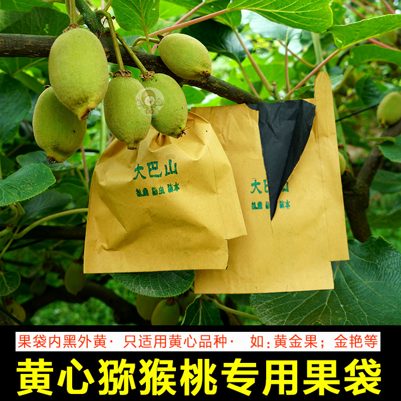 黄心猕猴桃套袋纸袋专用果袋金艳金果单层加厚防虫桃袋枇杷袋包邮