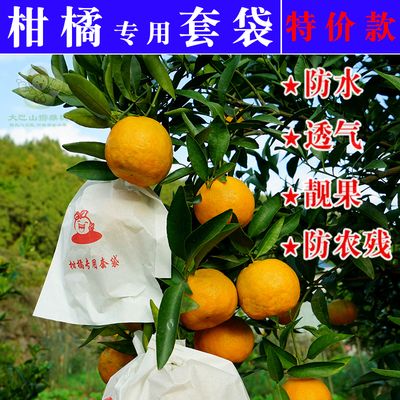 柑橘专用套袋橙子丑橘耙耙柑春见爱媛纸袋防病水虫25新款款式包邮
