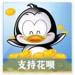 小合专用【谨私定骗不诈制L刷IG】