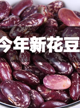 红芸豆农家自产威宁特产大红豆红腰豆花豆3/5斤散装红芸豆子杂粮
