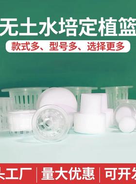 水培蔬菜设备定植篮棉塑料加深种植蔬菜透明固定器皿无土栽培草莓