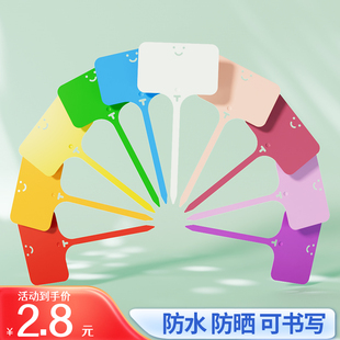 植物苗木花盆种植多肉名字花卉的名字果树园艺标签防水插牌小挂牌