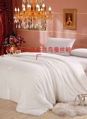 纱布被套蚕丝被，被芯，4040纱布套(桑蚕丝净4斤)