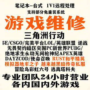 电脑机器远程LOL英雄联盟三角洲无畏契约CSGO暗区和平精英F限制码