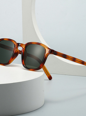 欧美跨境潮流街拍复古文艺丙烯插芯墨镜摩登魅力INS太阳镜2