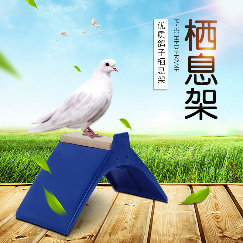 信鸽鸽具/赛鸽用具/木质/塑料栖架/站架/鸽子站架/鸽子/栖息站架