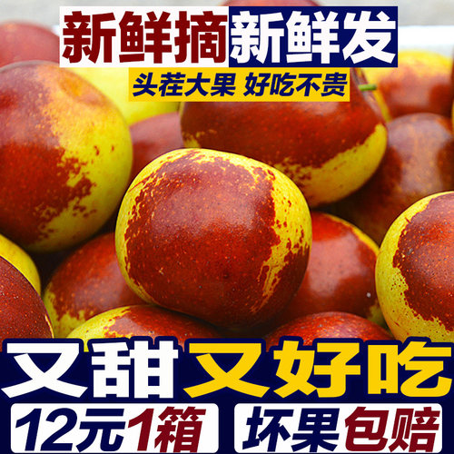 冬枣新鲜水果5斤山东沾化现摘现发当季水果整箱大枣脆甜枣子新鲜