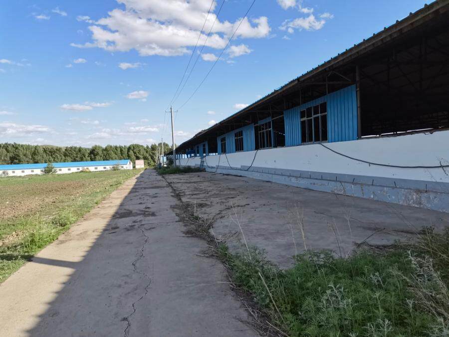 4月23日乌兰浩特市土地使用权及地上有证房屋、地上建筑物、附着物、无证房屋网络拍卖公告