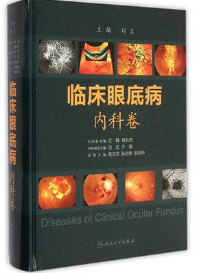 临床眼底病 内科卷 刘文 人民卫生出版供各级眼科医师,大中专医学生