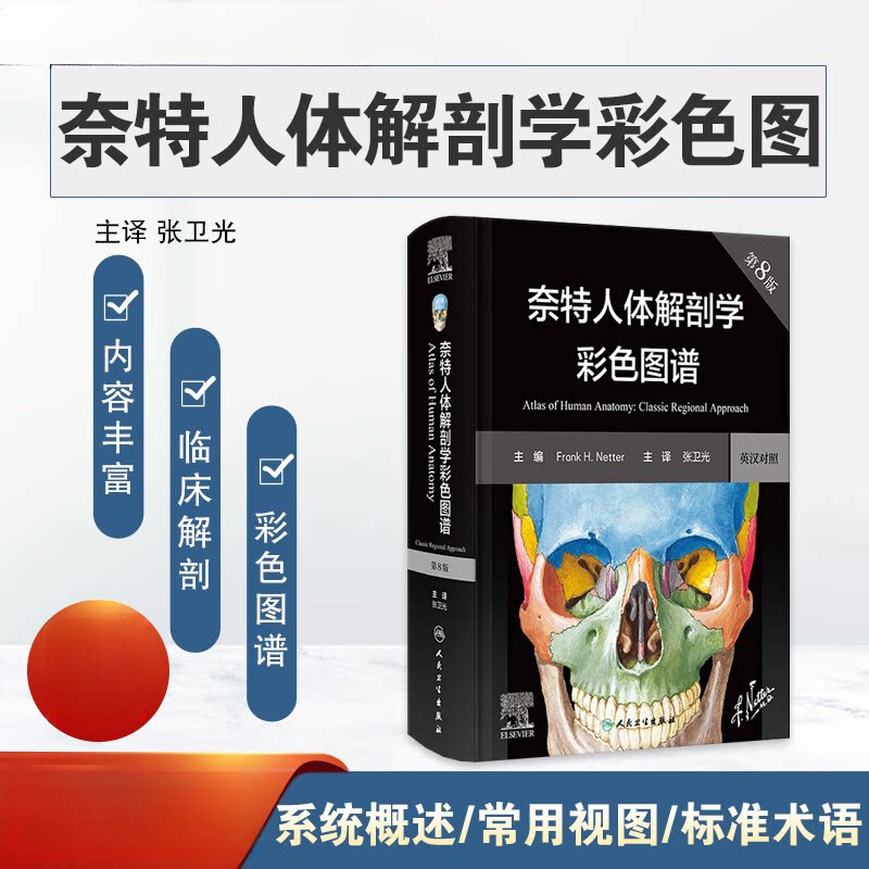 奈特人体解剖学图谱第8版张卫光彩色神经系统肌肉骨骼生理学肌动学解刨格氏结构功能微创腔镜放射影像人卫版教材解剖彩色学图谱