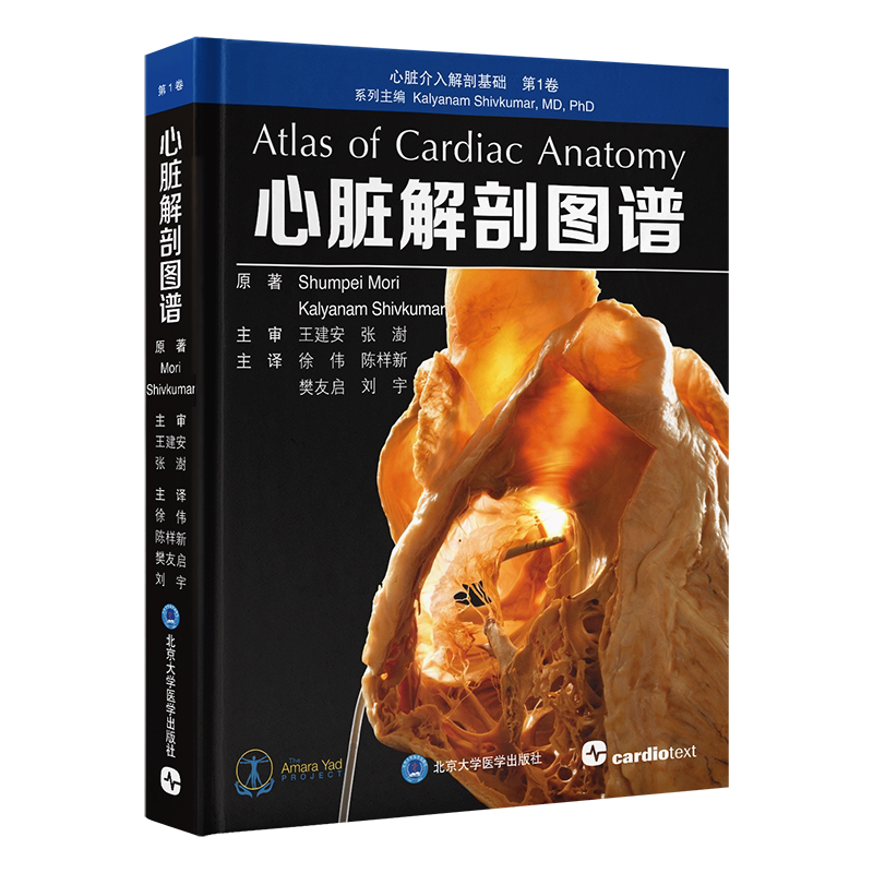 心脏解剖图谱 心脏介入解剖基础第1卷 徐伟 陈样新 樊友启 刘宇 主译 心脏人体解剖学 图谱解剖学9787565934766北京大学医学出版社
